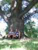 n2004_karretje04_20040831_BijEenZeldzameBoom.jpg