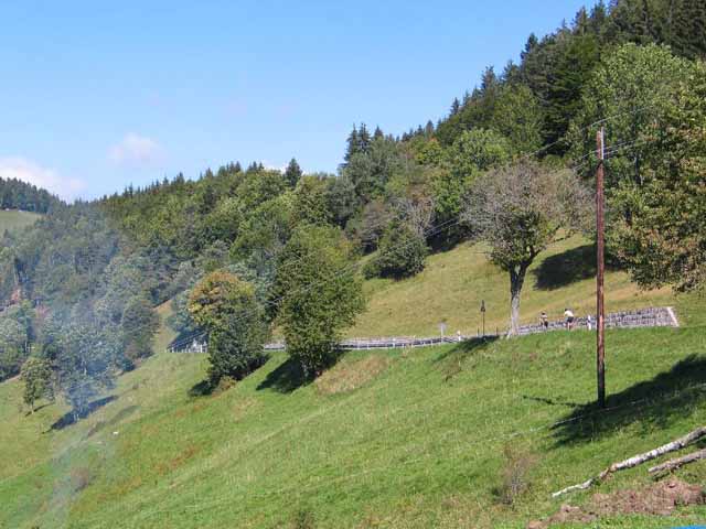 De groene kant van de heuvel
De rode stippelweg op de michelin kaart tussen Shonau en Badenweiller blijkt geen gevaarlijke weg, maar een prachtige rustige route te zijn.
