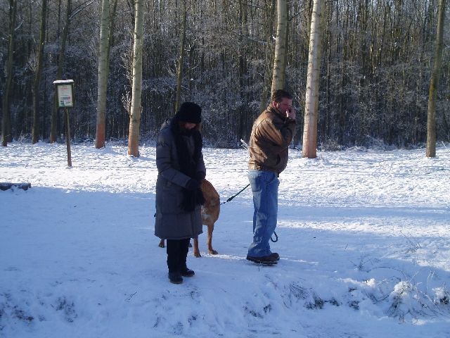 Luk waagt zich niet op het ijs
Uit schrik dat zijn hond met hem sleehondje zou spelen op het ijs, blijft Luk maar op de kant.
