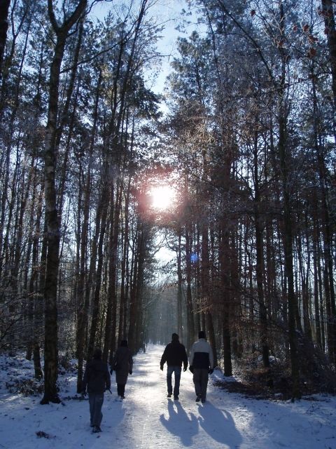 Mooie plaatjes schieten
Sneeuwlandschap en mooi tegenlicht, de ideale componenten voor een mooi plaatje.
