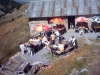 n2010_alpen10_20100911_56_TerrasBonnette2.JPG