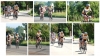 n2010_nissorappersbetrapt09_20100529_Bilzen_Classic.jpg