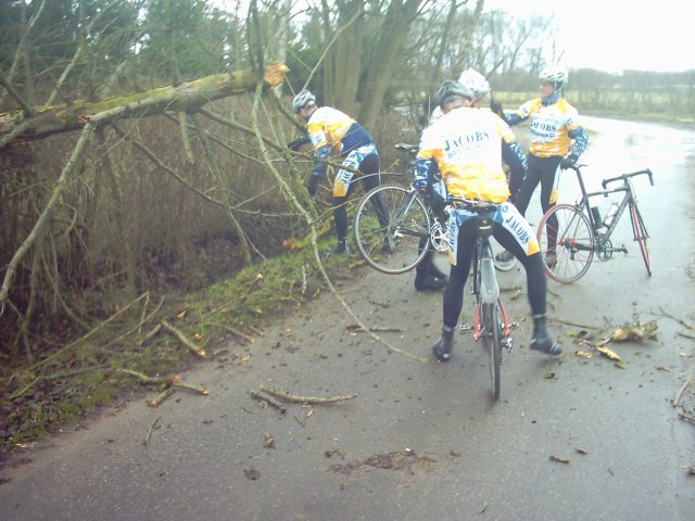 Straatruimers 3
De klus is bijna geklaard. Gelukkig is het een rotte boom, de takken kunnen gemakkelijk afgebroken worden.
