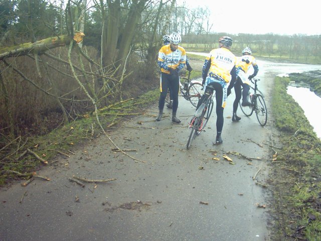 Straatruimers 4
Voila, alleen nog wat sprokkelhout wegvegen.
