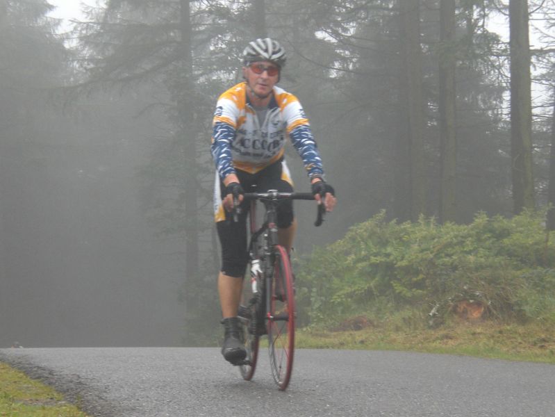 Gorilla's in the mist IV. : Ronny strikes back.
En nu slaagt hij er weer perfect in om fotogeniek voor de camera te verschijnen.

