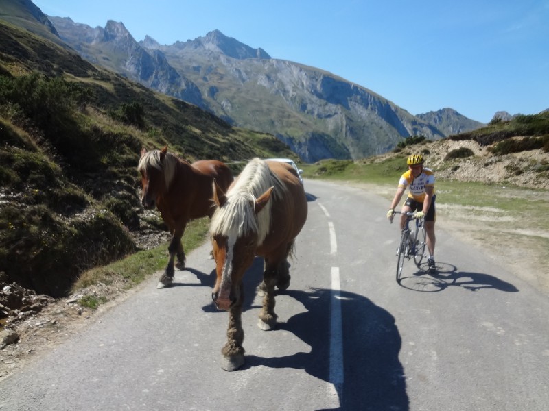 n2012_Pyreneeen12_Herman_20120909_141946_024.JPG