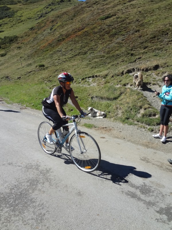 n2012_Pyreneeen12_Herman_20120914_121013_038.JPG