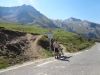 n2012_Pyreneeen12_Herman_20120909_141622_023.JPG