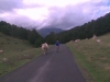 n2012_Pyreneeen12_Pit_20120913_161600_002.jpg