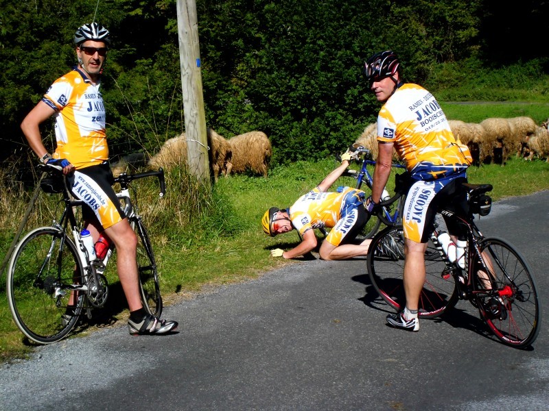 't fokschaap 
altijt med d
