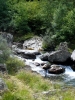 n2012_Pyreneeen12_Warre_20120910_131409_065.jpg