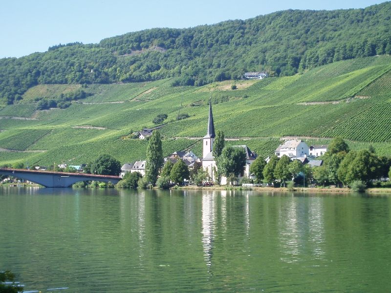 Piesport
