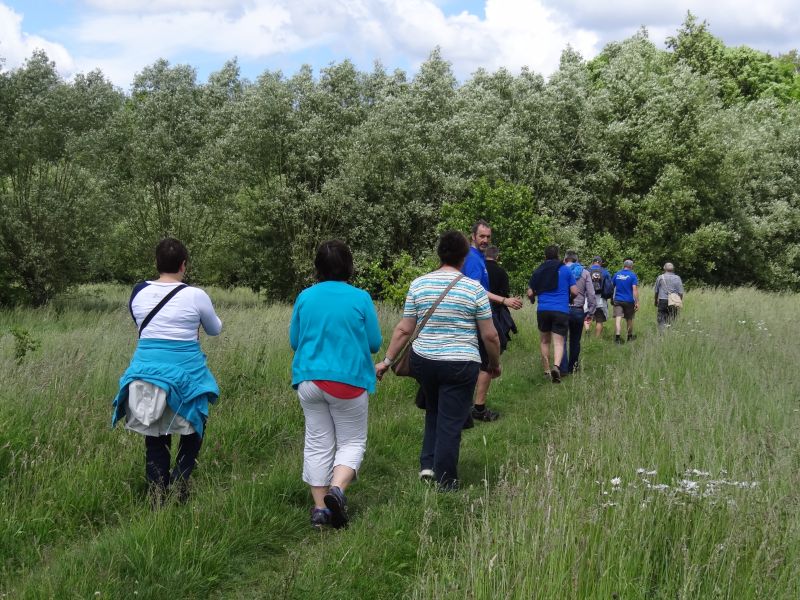 Wandelen langs de Nete 2
