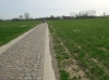 n2015_club15_ParijsRoubaix_20150412_105313_Breisem4.jpg