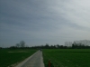 n2015_club15_ParijsRoubaix_20150412_105320_Breisem5.jpg