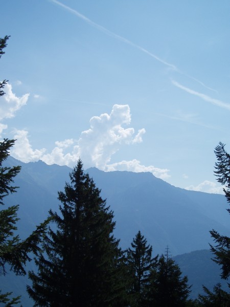 Wolkenfiguren
In deze wolk meende Koen een man met gebalde spieren te zien.
Ik zag er een bokser in vechthouding in.
