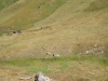 Filename=alpen_2016_raf_26.JPG
Filesize=158KiB
Dimensions=800x600
Date added=Sep 14, 2016 alpen_2016_raf_26.JPG