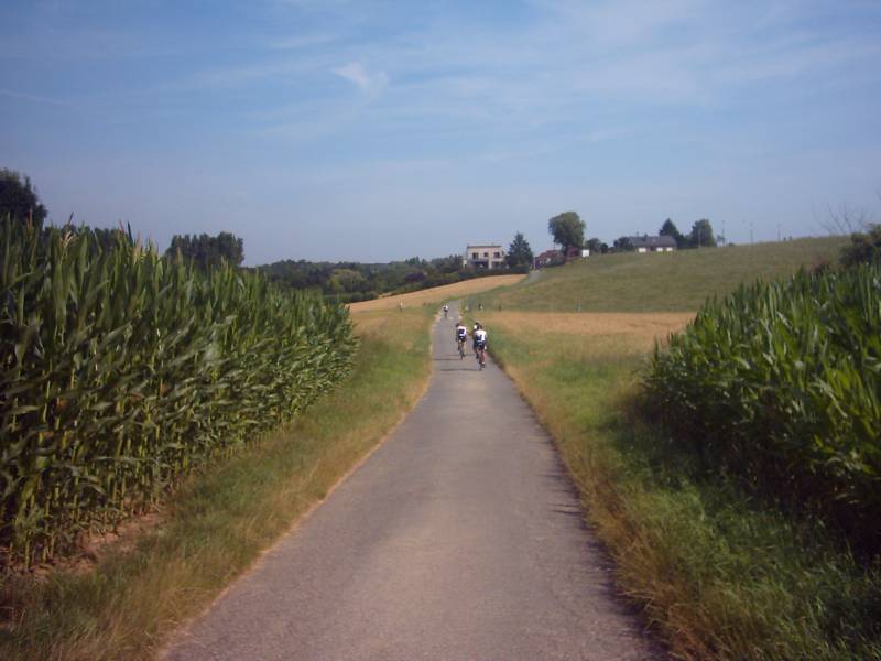 Veldweg Duisburg 3
... en via deze prachtige weg door de velden...
