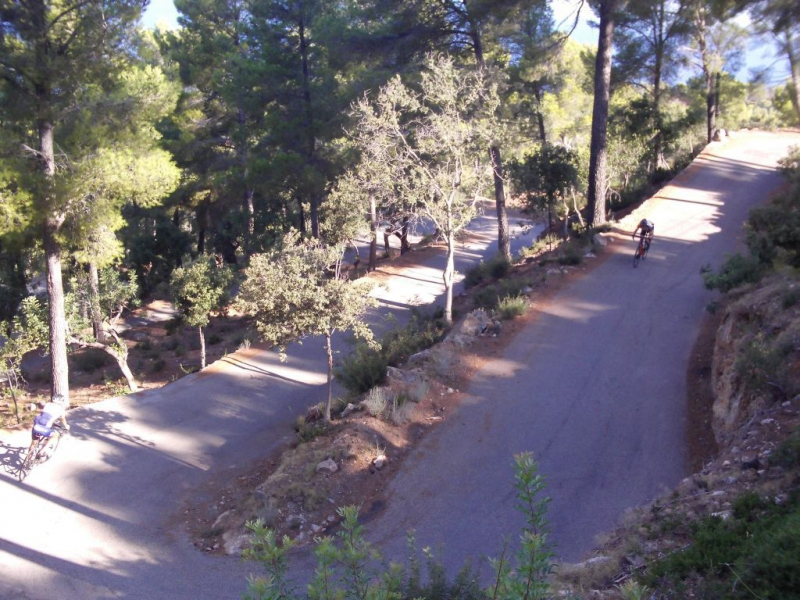 Afdaling Naar Valldemossa (2)
