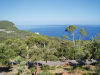 Filename=mallorca_2017_raf_06.jpg
Filesize=121KiB
Dimensions=800x600
Date added=Sep 16, 2017 mallorca_2017_raf_06.jpg
