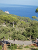 Filename=mallorca_2017_raf_07.jpg
Filesize=88KiB
Dimensions=450x600
Date added=Sep 16, 2017 mallorca_2017_raf_07.jpg