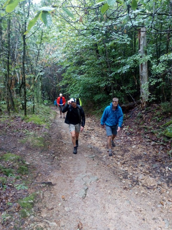 Wandeling
