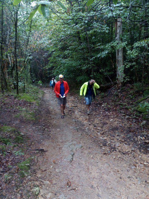 Wandeling

