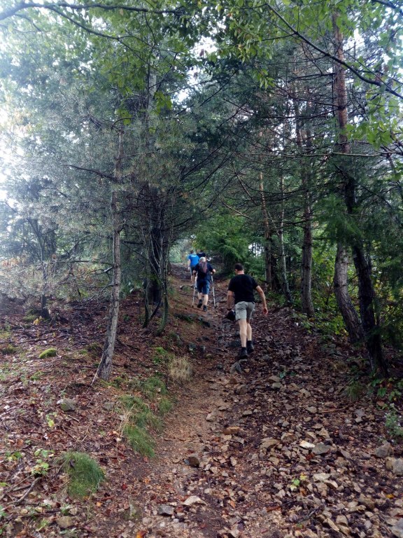 Wandeling
