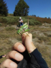 n2018_reisArdeche_FotosJoeri_20180902_111201_SterkeBenen.jpg