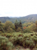 Filename=n2018_reisArdeche_FotosJoeri_20180906_114523_Vallei.jpg
Filesize=114KiB
Dimensions=576x768
Date added=Nov 24, 2018 n2018_reisArdeche_FotosJoeri_20180906_114523_Vallei.jpg