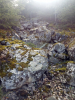 Filename=n2018_reisArdeche_FotosJoeri_20180906_121911_Rotsig.jpg
Filesize=162KiB
Dimensions=576x768
Date added=Nov 24, 2018 n2018_reisArdeche_FotosJoeri_20180906_121911_Rotsig.jpg