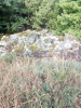 Filename=n2018_reisArdeche_FotosJoeri_20180906_121918_Rotsig.jpg
Filesize=138KiB
Dimensions=576x768
Date added=Nov 24, 2018 n2018_reisArdeche_FotosJoeri_20180906_121918_Rotsig.jpg