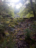 Filename=n2018_reisArdeche_FotosJoeri_20180906_122310_Mossig.jpg
Filesize=170KiB
Dimensions=576x768
Date added=Nov 24, 2018 n2018_reisArdeche_FotosJoeri_20180906_122310_Mossig.jpg