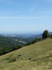 Filename=n2018_reisArdeche_20180905_5_RhoneVallei.jpg
Filesize=49KiB
Dimensions=576x768
Date added=Nov 24, 2018 n2018_reisArdeche_20180905_5_RhoneVallei.jpg