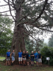 Filename=n2018_reisArdeche_20180906_7_Boomtoeristen.jpg
Filesize=118KiB
Dimensions=576x768
Date added=Nov 24, 2018 n2018_reisArdeche_20180906_7_Boomtoeristen.jpg