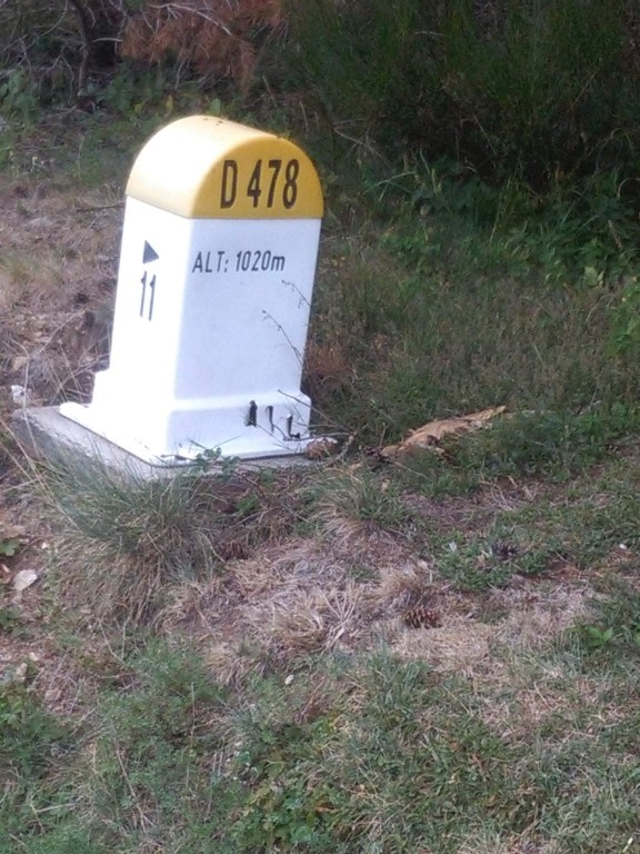 Bermpaal Op 1020m
 
