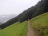 Filename=n2019_kartitsch19_DenHale_080_20190902_150541.JPG
Filesize=411KiB
Dimensions=800x600
Date added=Nov 23, 2019 n2019_kartitsch19_DenHale_080_20190902_150541.JPG