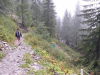 Filename=n2019_kartitsch19_DenHale_268_20190906_155223.JPG
Filesize=543KiB
Dimensions=800x600
Date added=Nov 23, 2019 n2019_kartitsch19_DenHale_268_20190906_155223.JPG
