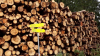 Filename=n2019_kartitsch19_Johan_011_20190902_095309.jpg
Filesize=521KiB
Dimensions=800x450
Date added=Nov 23, 2019 n2019_kartitsch19_Johan_011_20190902_095309.jpg
