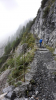 Filename=n2019_kartitsch19_Johan_170_20190906_111300.jpg
Filesize=122KiB
Dimensions=432x768
Date added=Nov 23, 2019 n2019_kartitsch19_Johan_170_20190906_111300.jpg