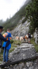 Filename=n2019_kartitsch19_Johan_172_20190906_111615.jpg
Filesize=123KiB
Dimensions=432x768
Date added=Nov 23, 2019 n2019_kartitsch19_Johan_172_20190906_111615.jpg