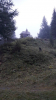 Filename=n2019_kartitsch19_Johan_175_20190906_113950.jpg
Filesize=110KiB
Dimensions=432x768
Date added=Nov 23, 2019 n2019_kartitsch19_Johan_175_20190906_113950.jpg