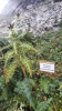 Filename=n2019_kartitsch19_Johan_185_20190906_122529.jpg
Filesize=164KiB
Dimensions=432x768
Date added=Nov 23, 2019 n2019_kartitsch19_Johan_185_20190906_122529.jpg