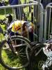 Filename=n2019_verplaatsing19_Bikefest_Hest_20190427_007.jpg
Filesize=124KiB
Dimensions=450x600
Date added=May 06, 2019 n2019_verplaatsing19_Bikefest_Hest_20190427_007.jpg