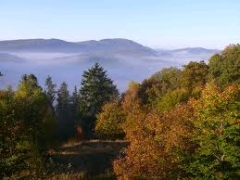 Sauerland